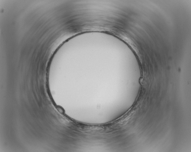 X0000088461187200706121457