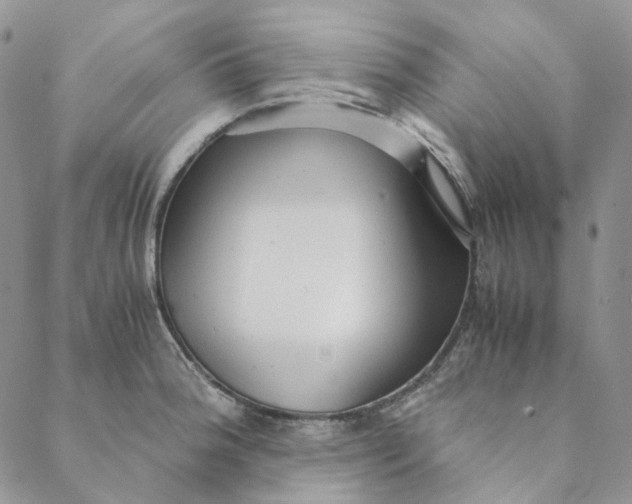 X0000088461188200706121456