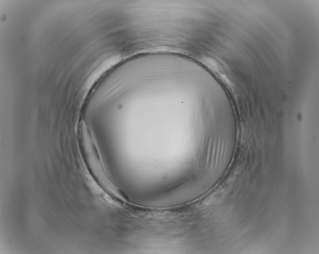 X0000088461189200706121456