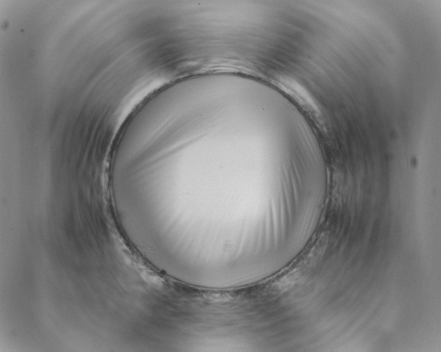 X0000088461190200706121456