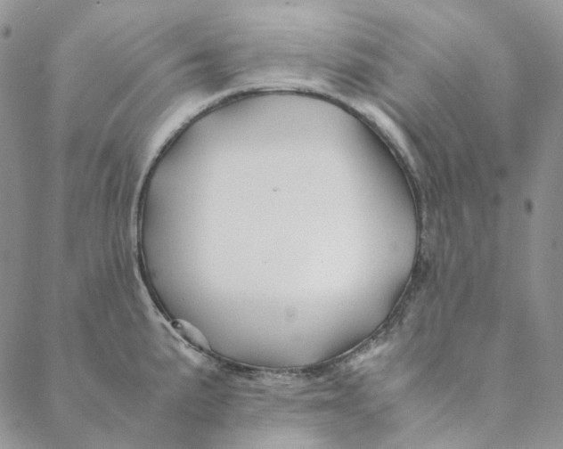 X0000088461191200706121456