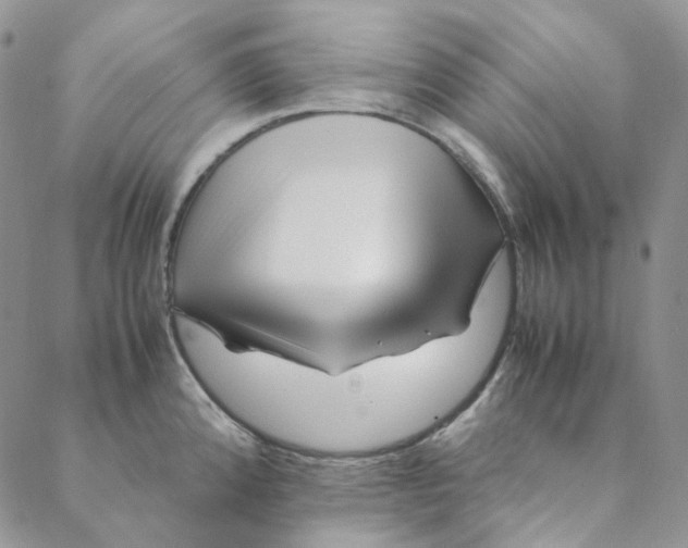 X0000088461192200706121456