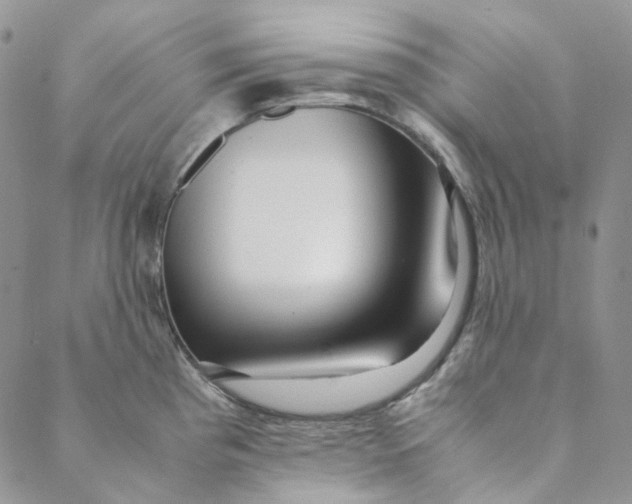 X0000088461193200706121456