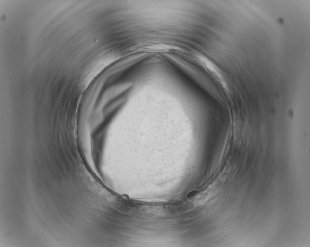 X0000088461194200706121456