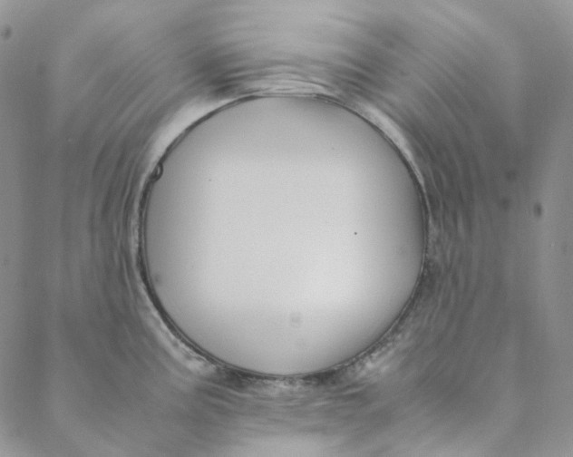 X0000088461195200706121456