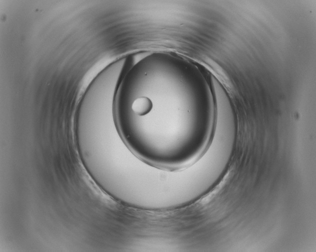 X0000088461196200706121456