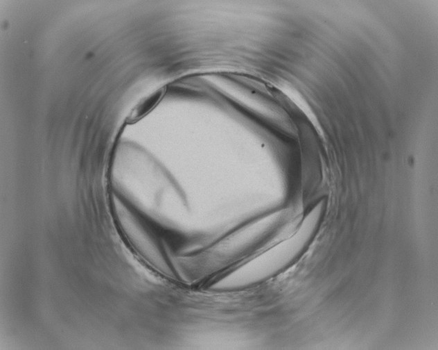 X0000088461197200706121456