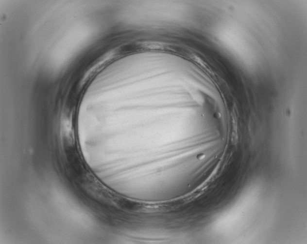 X0000088461198200706121456