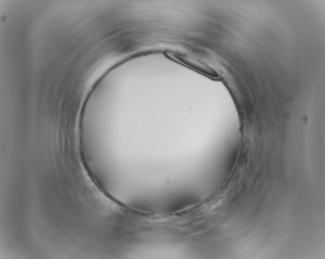 X0000088461199200706121456