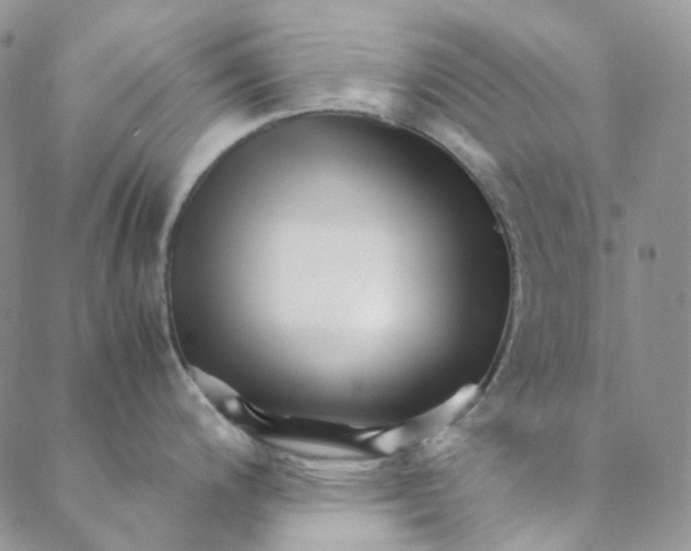 X0000088461200200706121456