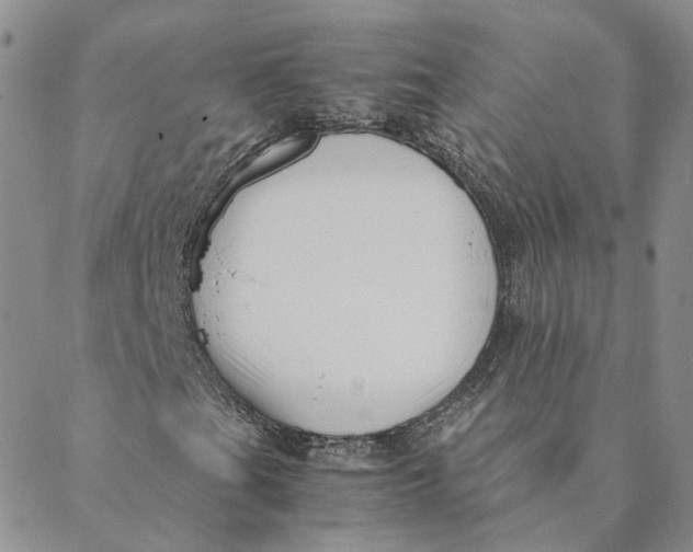 X0000088461201200706121456