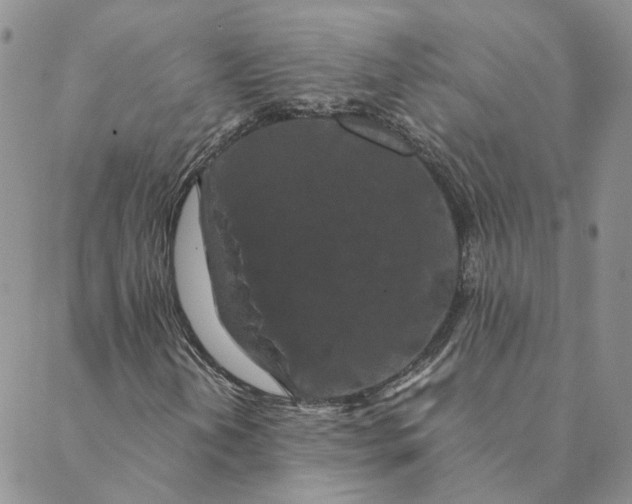 X0000088461202200706121456