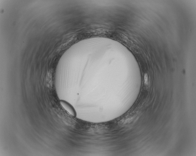 X0000088461203200706121456