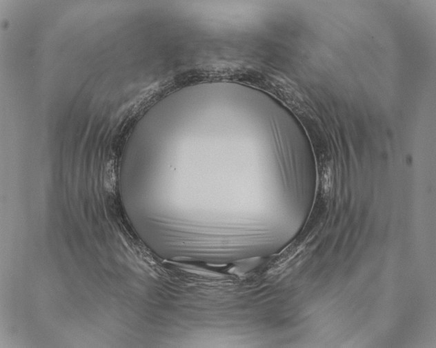 X0000088461204200706121456