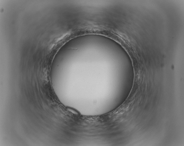 X0000088461205200706121456