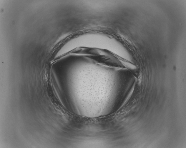 X0000088461206200706121456