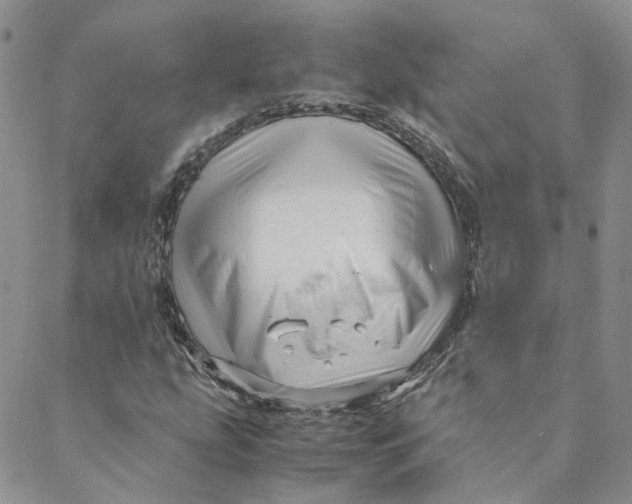 X0000088461207200706121456