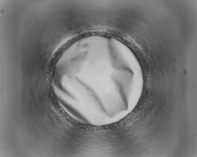 X0000088461208200706121456