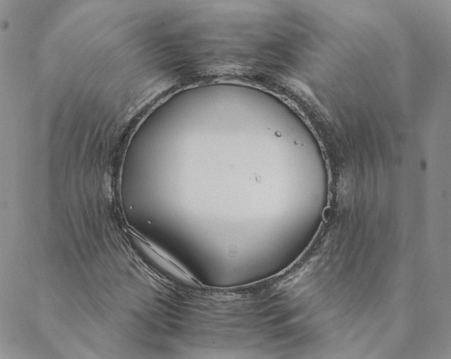 X0000088461209200706121456