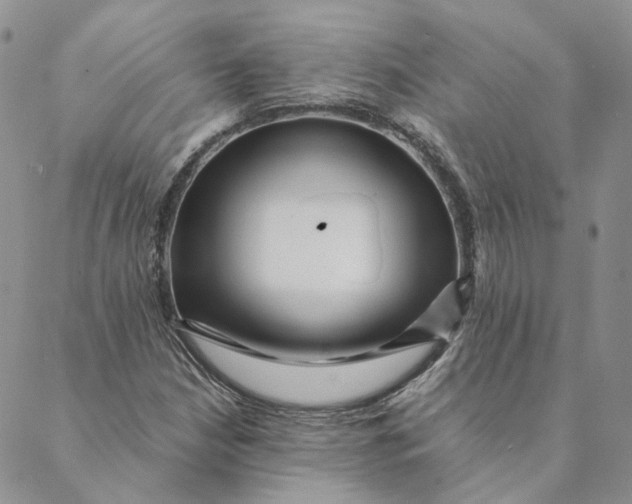 X0000088461210200706121456