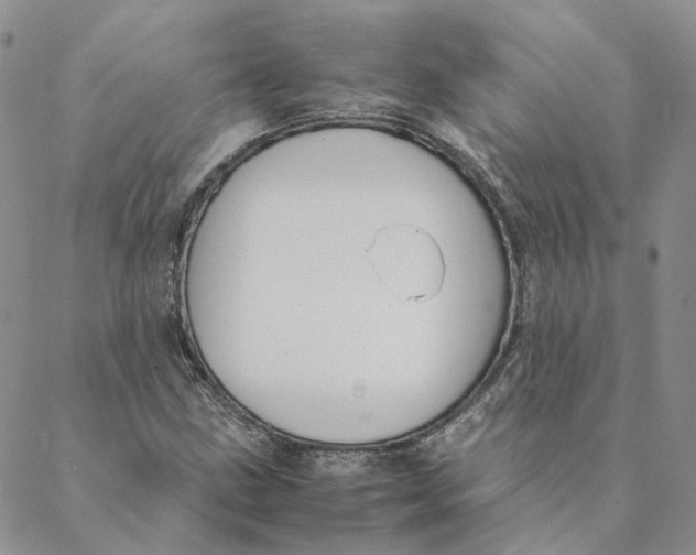 X0000088461211200706121456