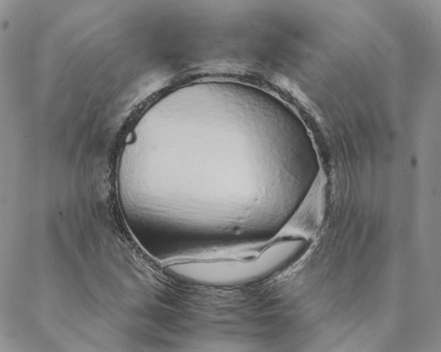 X0000088461213200706121456