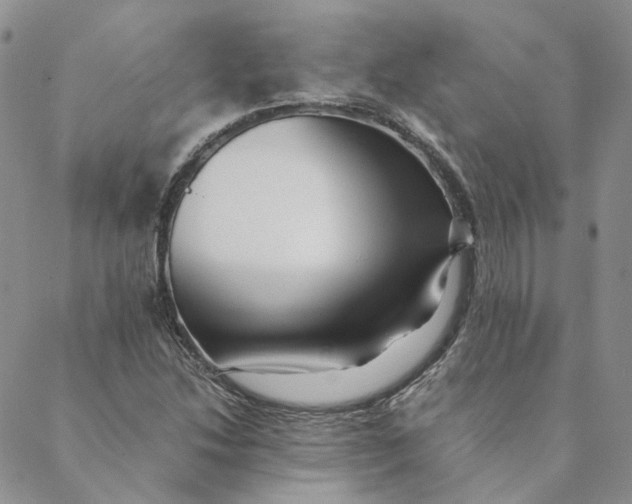 X0000088461214200706121456