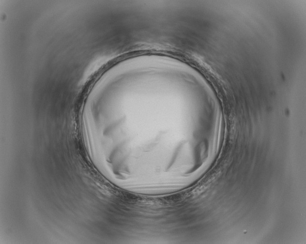 X0000088461215200706121456