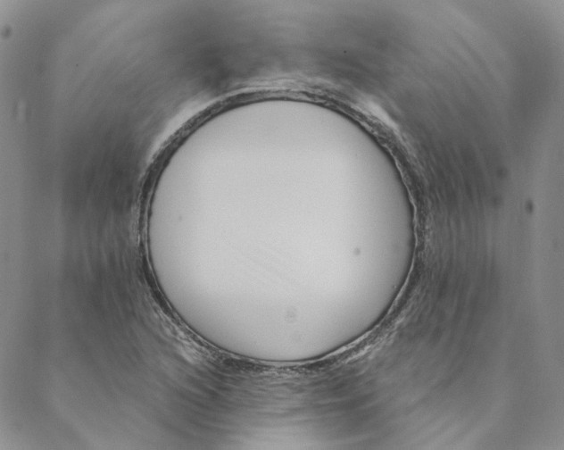 X0000088461216200706121456