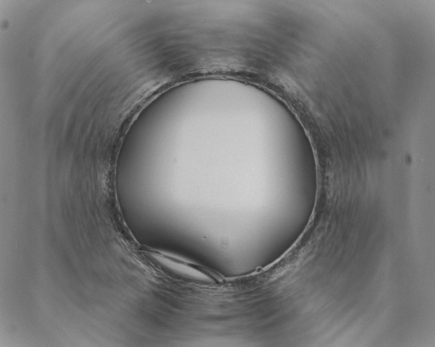 X0000088461217200706121456