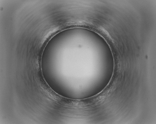 X0000088461218200706121456