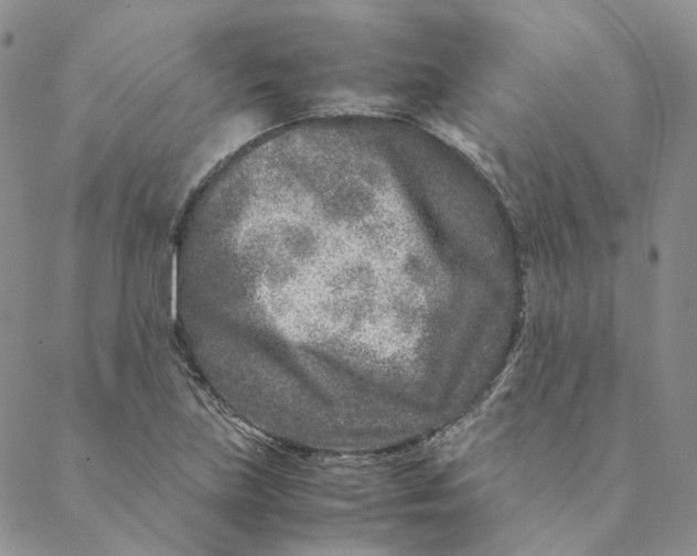 X0000088461219200706121456