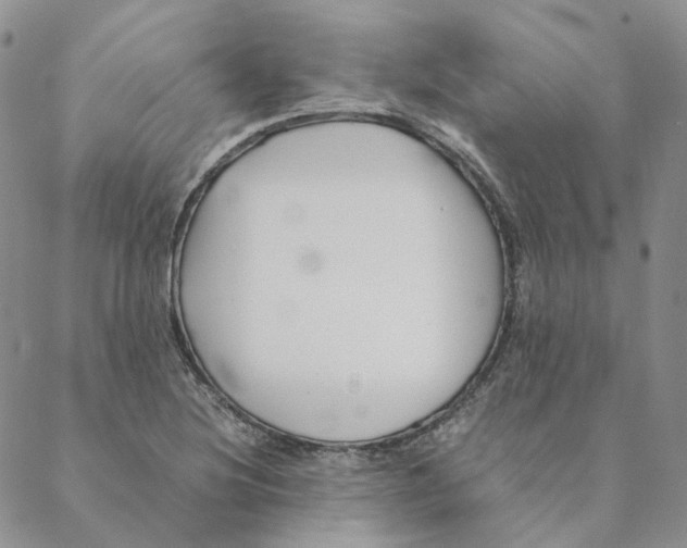 X0000088461220200706121456