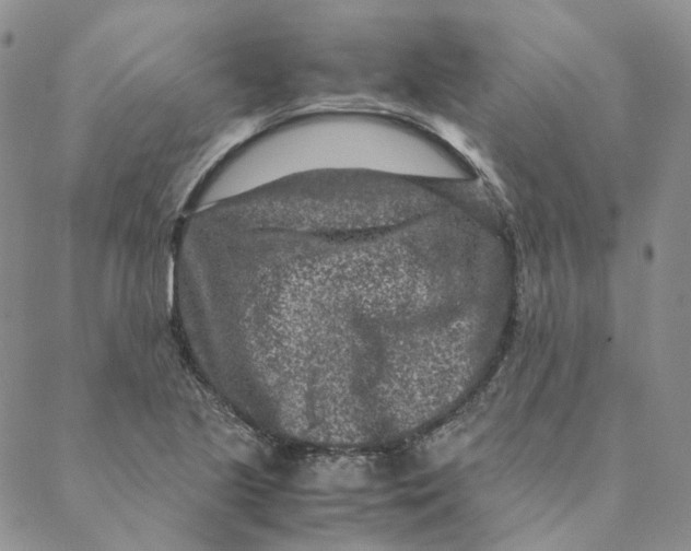 X0000088461221200706121456