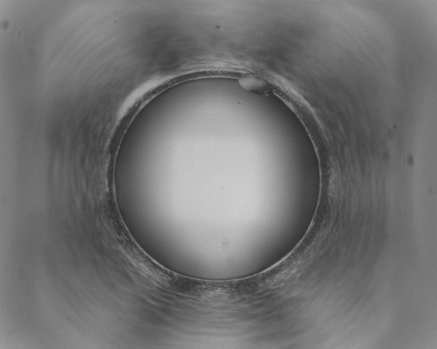 X0000088461222200706121456