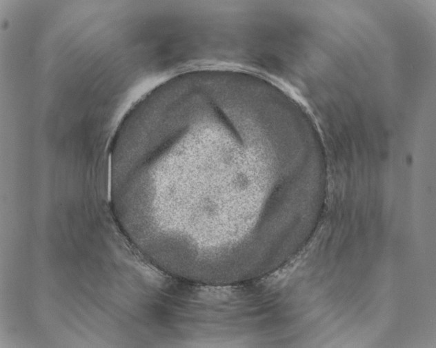 X0000088461223200706121456