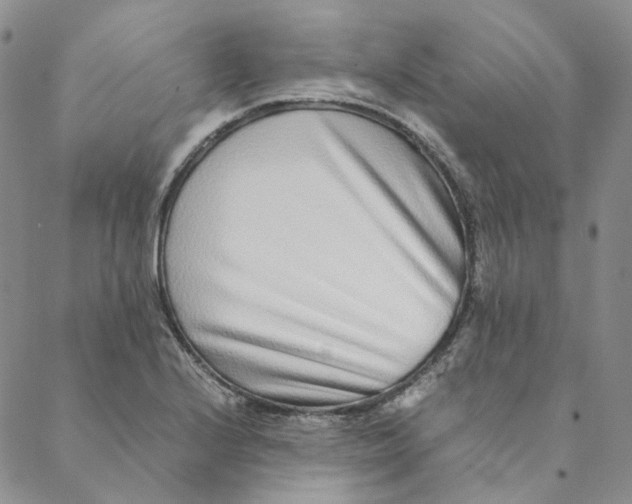 X0000088461224200706121456