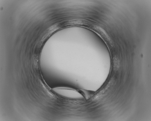 X0000088461225200706121456