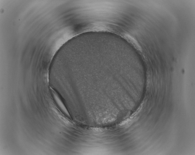 X0000088461226200706121456