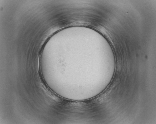 X0000088461227200706121456