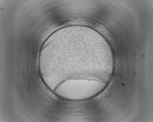 X0000088461228200706121456