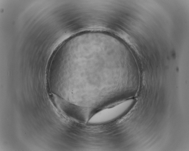 X0000088461229200706121456