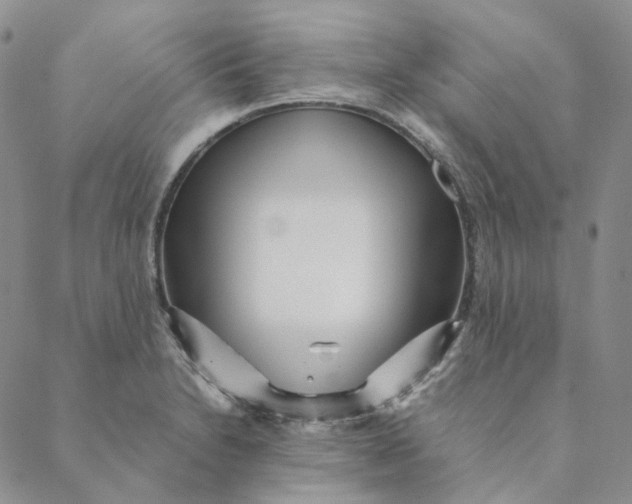 X0000088461230200706121456