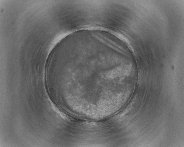 X0000088461231200706121456