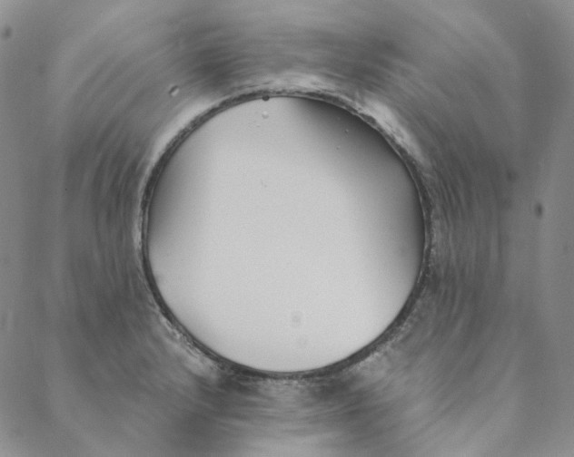 X0000088461232200706121456