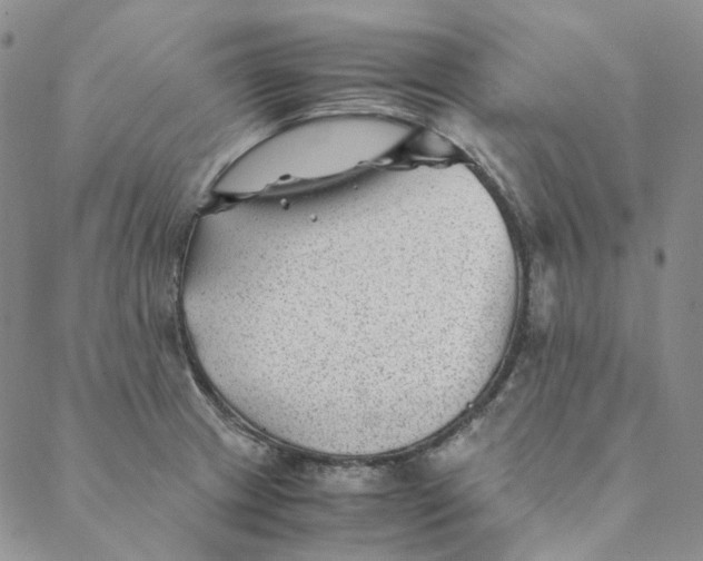 X0000088461233200706121456