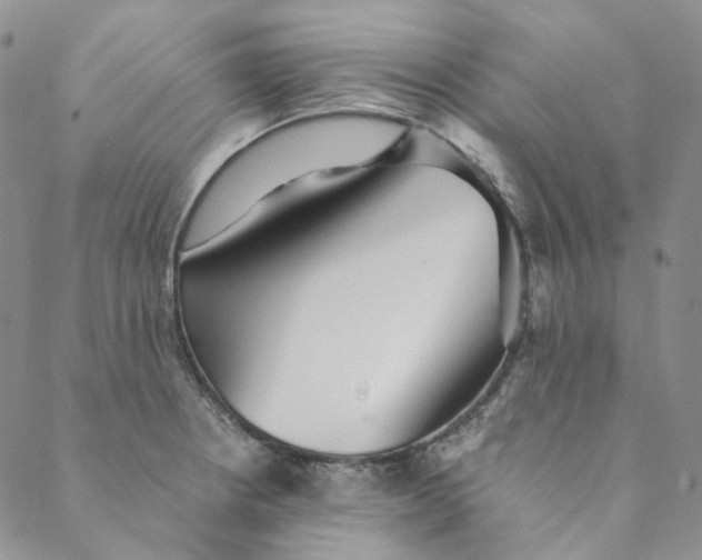 X0000088461234200706121456