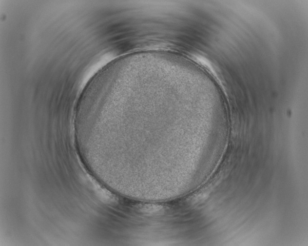 X0000088461235200706121456