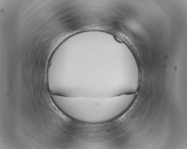 X0000088461236200706121456