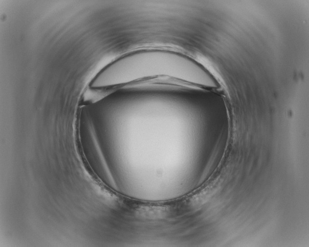 X0000088461237200706121456